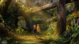 DVD Cover