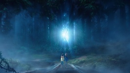 DVD Cover